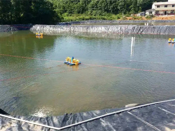 池塘防渗膜图片第1张-盈旭土工材料