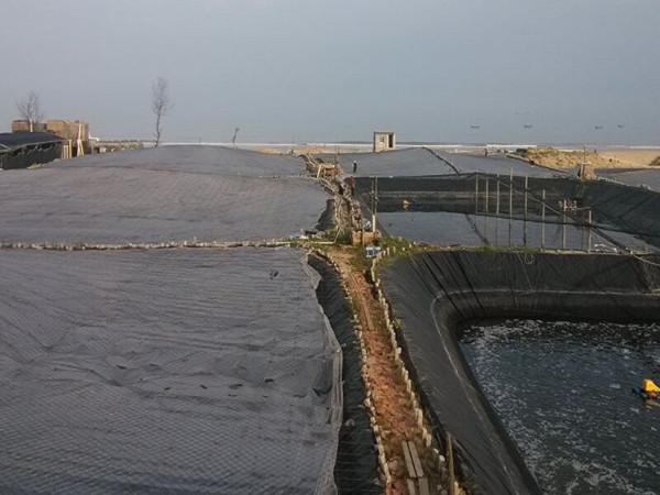 水产养殖土工膜图片第1张-盈旭土工材料