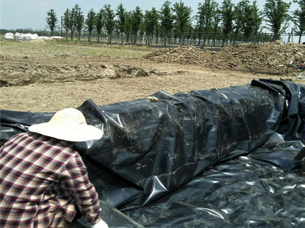 水产养殖土工膜图片第2张-盈旭土工材料