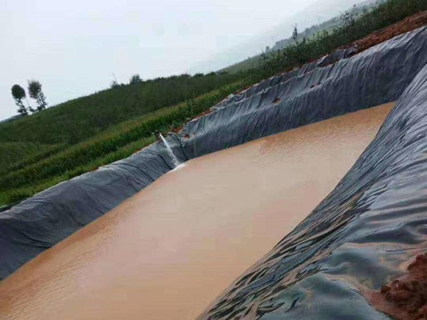 水产养殖土工膜图片第4张-盈旭土工材料